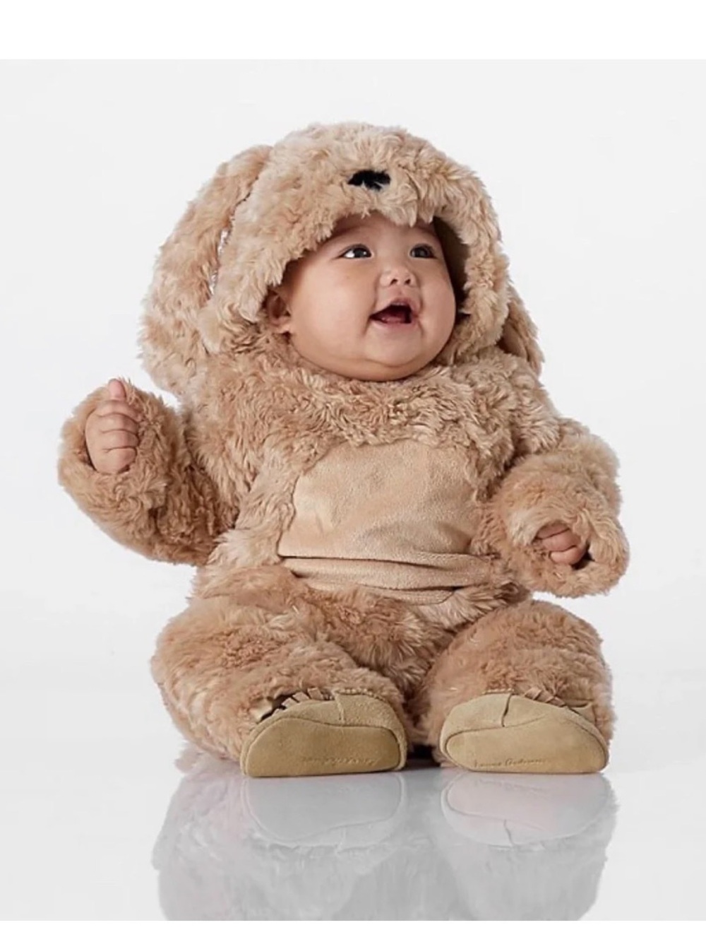 Pottery Barn Labradoodle Dog Baby Costume 6-12 months